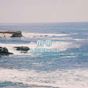 共享可靠小马导航
