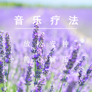 共享可靠小马导航
